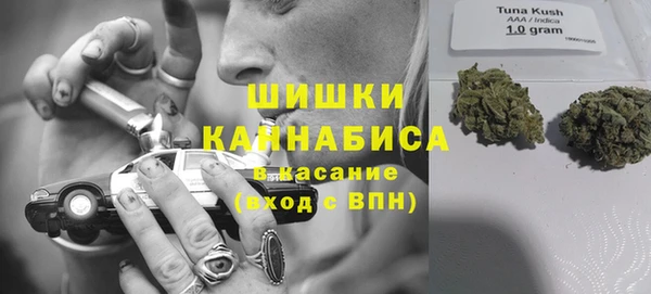 твердый Алексин