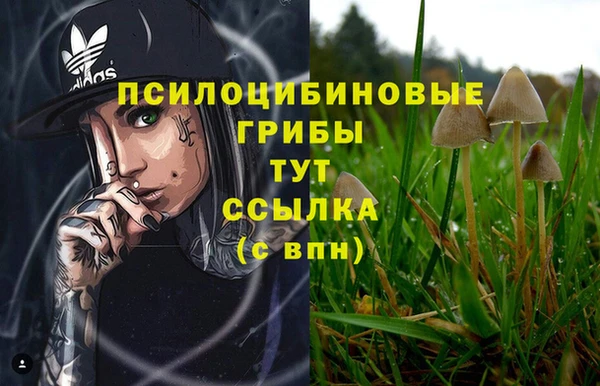 молекула духа Алзамай