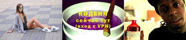 молекула духа Алзамай