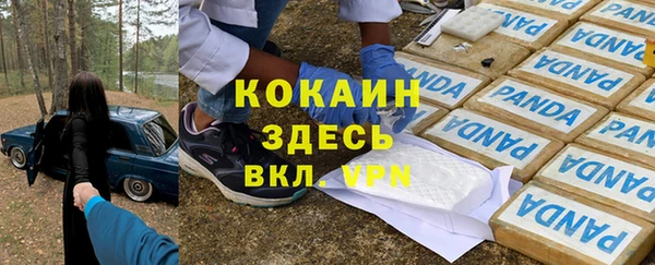сатива Билибино