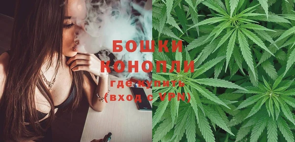 молекула духа Алзамай