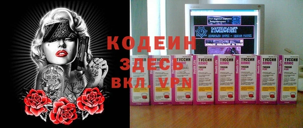 Альфа ПВП Няндома