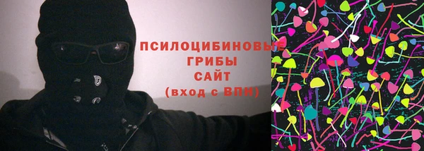 молекула духа Алзамай