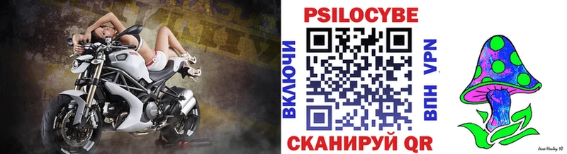 Галлюциногенные грибы Psilocybine cubensis  Уяр 